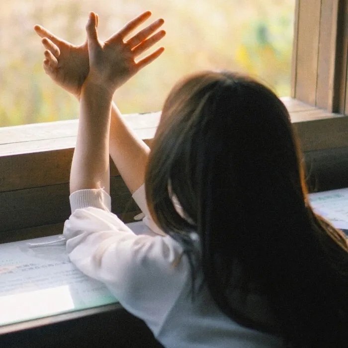 别惹白鸽之她的秘密